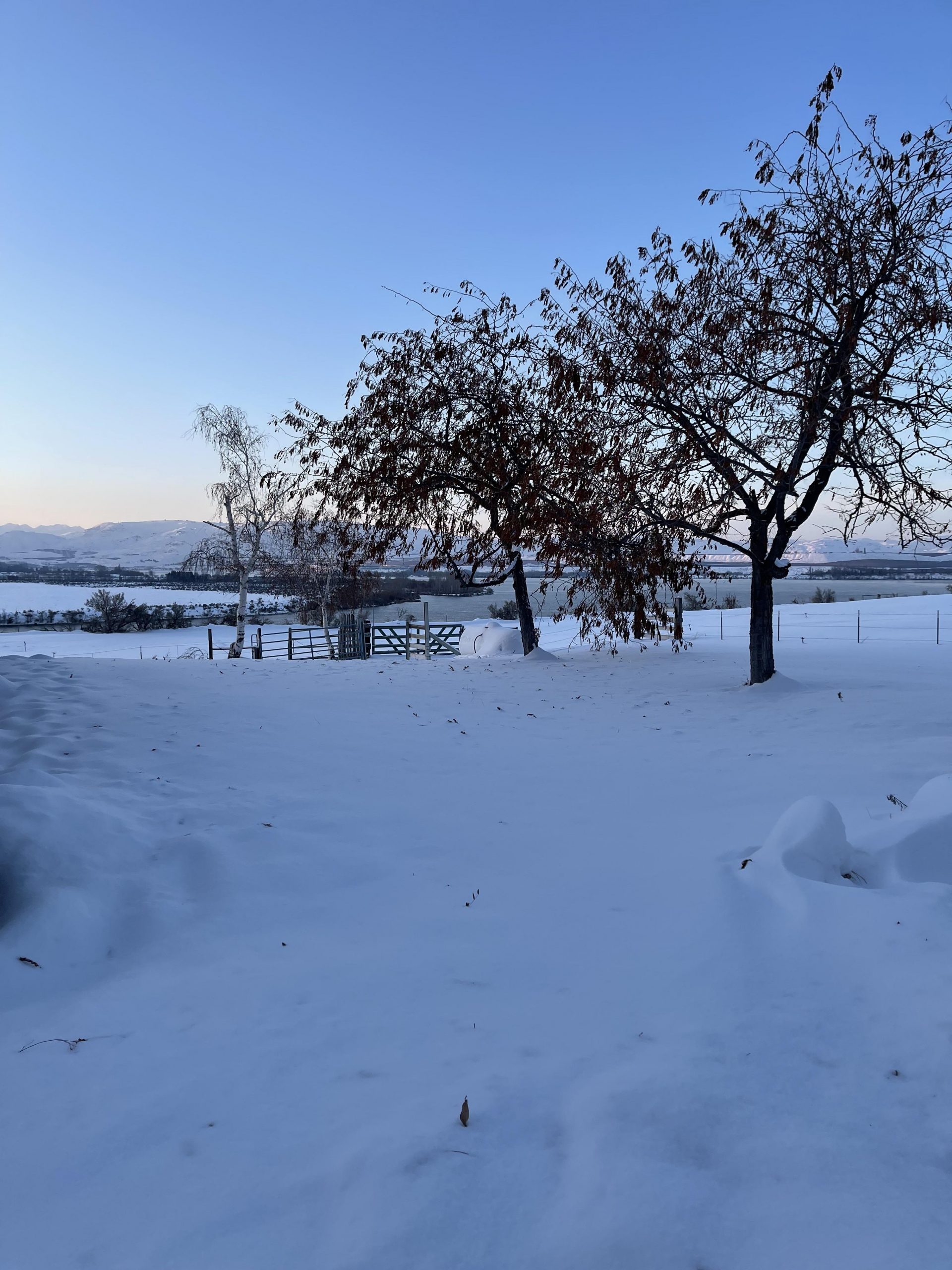 Winter landscape in Wenatchee.